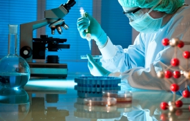 Fizik Tedavi Ünitesi 